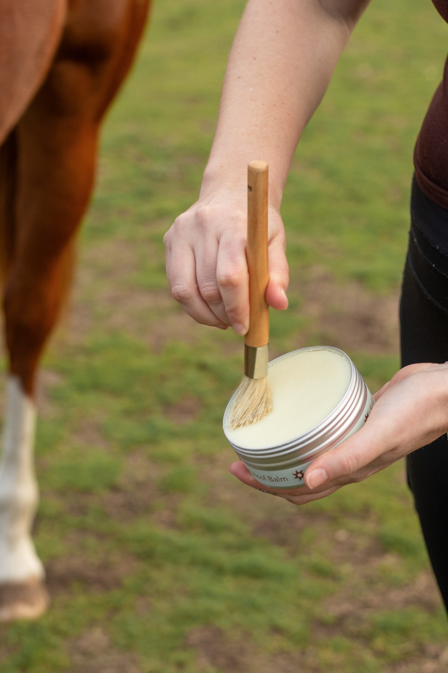 Solemend Hoof Balm