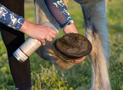 Hoof Care Bundle