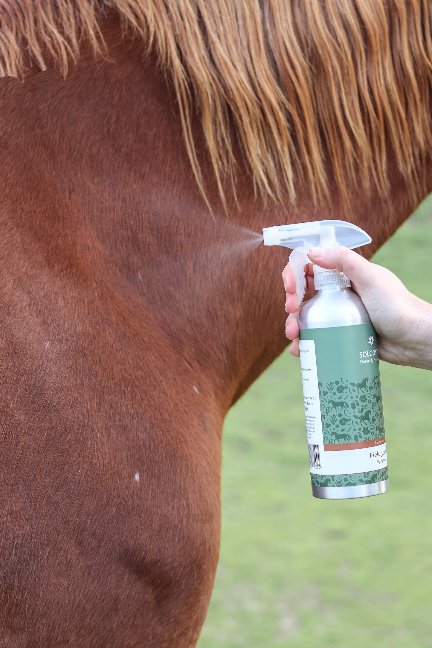 Fieldguard Fly Spray with 'Keep Me Bottle'